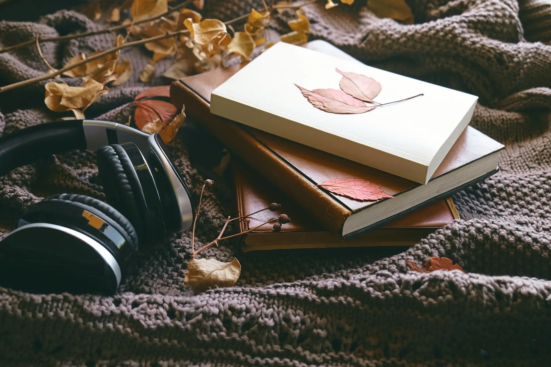 From Istanbul to Paris: How Literature Shapes My Language Journey